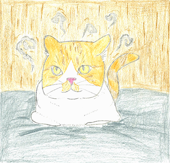 ほっしー