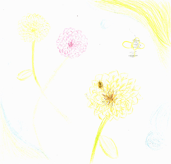 どぅ