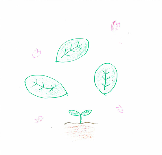 あしも