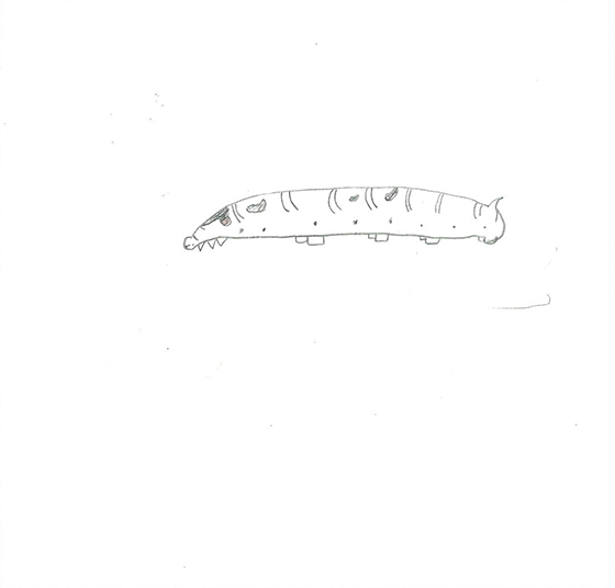 こうが