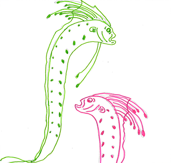 リュウグウノツカイ