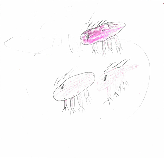 ゆず