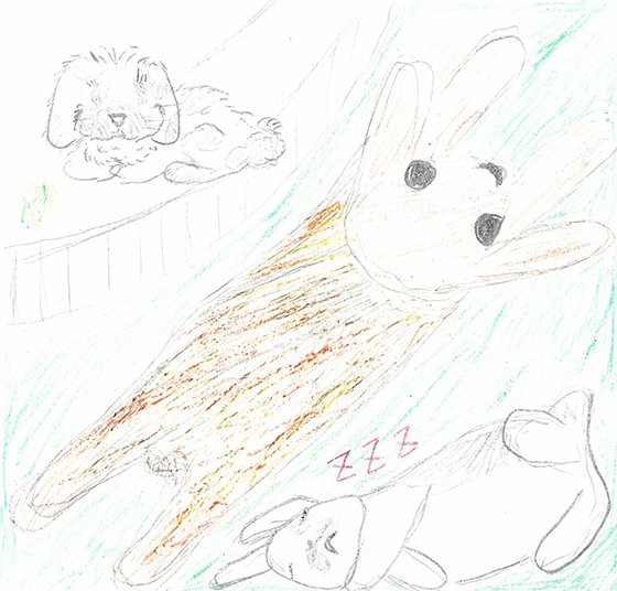 とみざわ