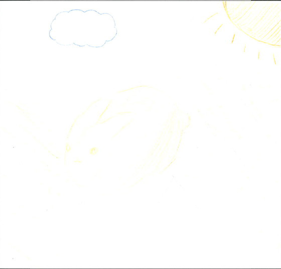 りん