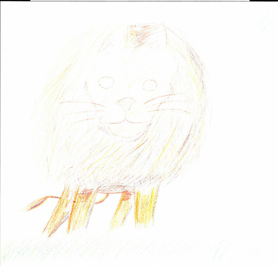 みおぱぱ