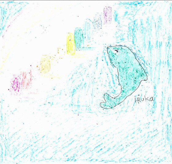 IRUKA