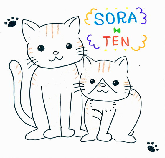 ねこじゃらし