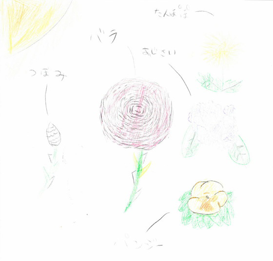 翠