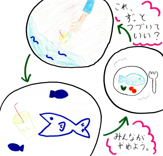モモカ
