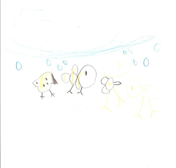 まおたん