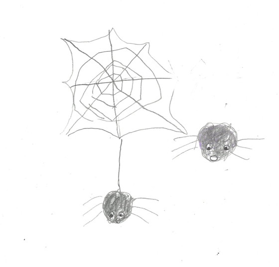 たつき