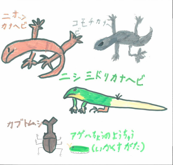 深琴さん