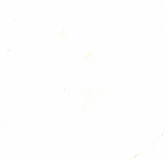 ゆちゃ
