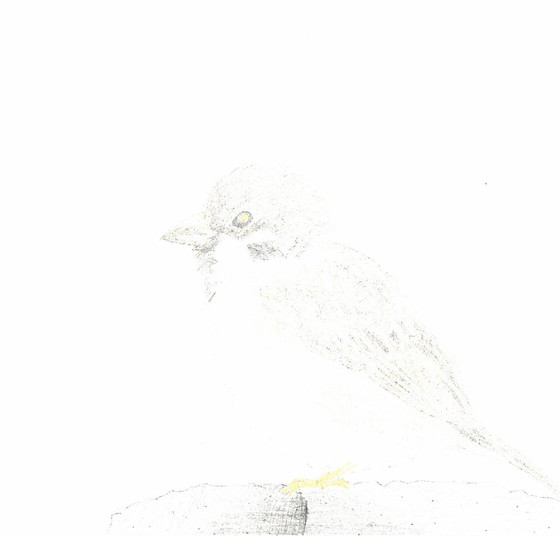 みーちゃん