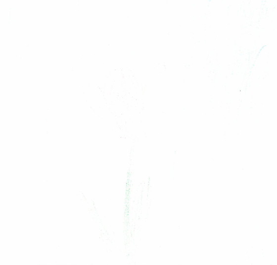 さとる