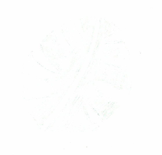 光廣昌子さん