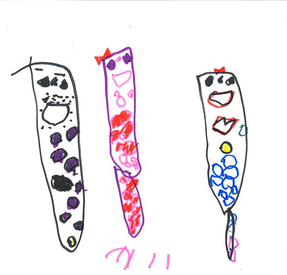 めい