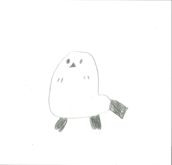 シマちゃん