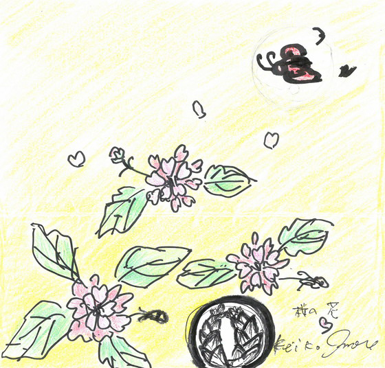 桜の花