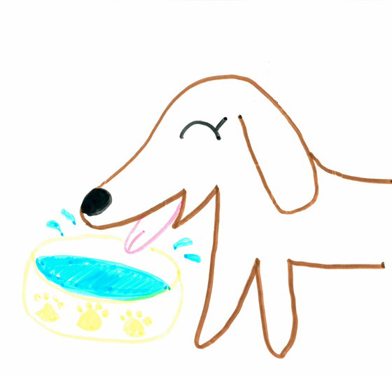 ゆっこ
