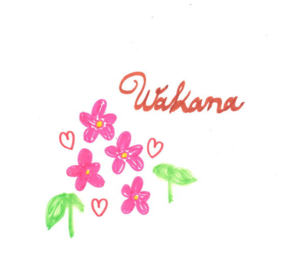 ｗａｋｋａ