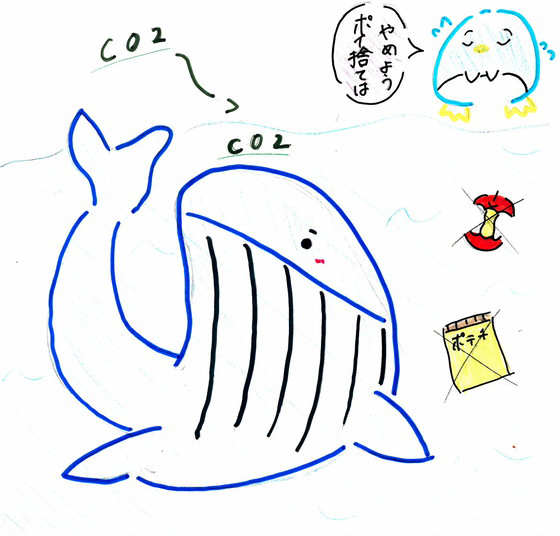 一楓