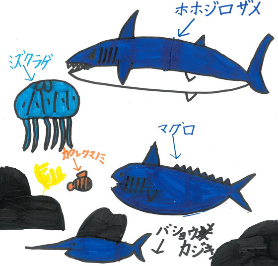 るいくん