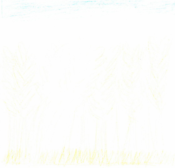 カイダ