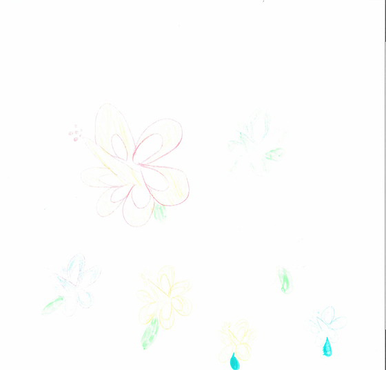 ひなの