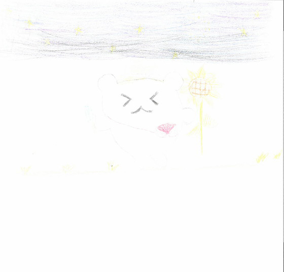 はむたん
