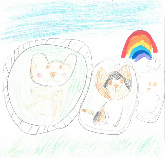 なこ