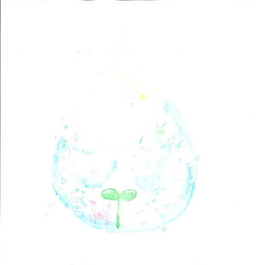 Risa