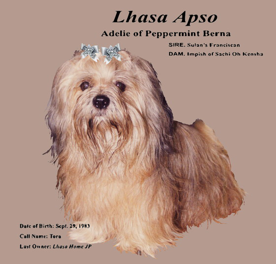 Lhasa
