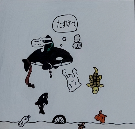 しゃち
