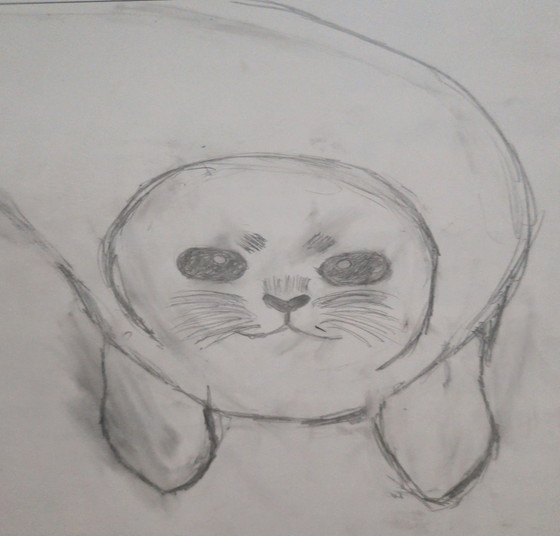 ぴもちまる