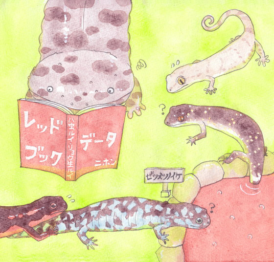 ハスオビ
