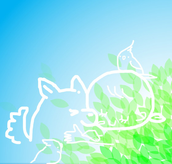 Poko
