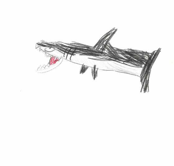 そらんちょす