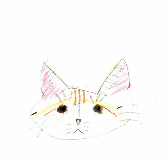 にゃんこせい