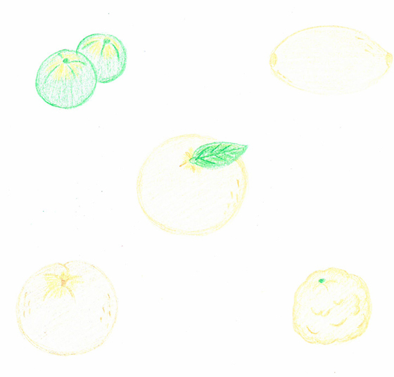 みかん