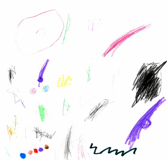 しいたん