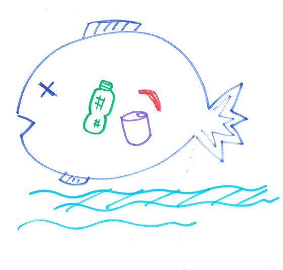 ミキタン