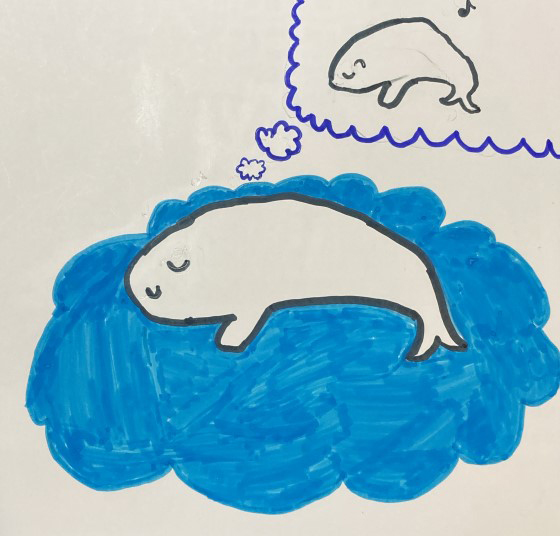 ねえたん