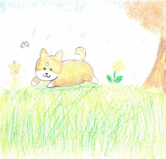 あーちゃん