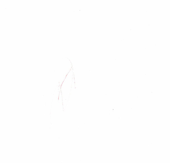 アオイ
