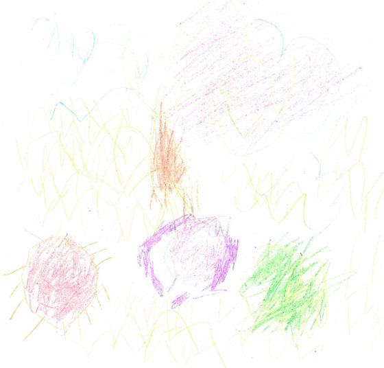 こっこ