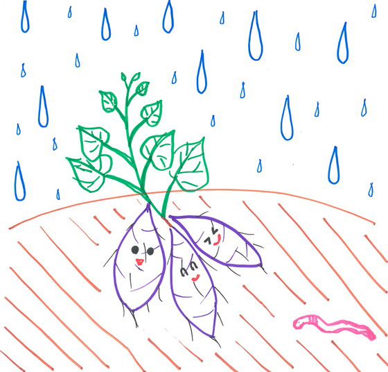 まりりん