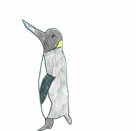 こうめ