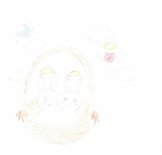 さくらたん