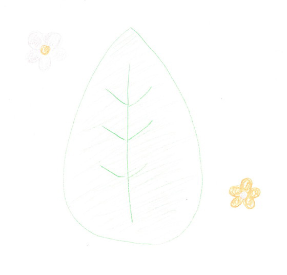みな